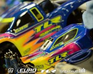 fri-evansshells