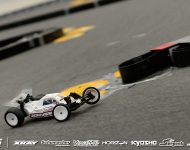 fri_bayer4