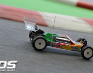 fri_ronnefalk2