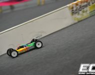 fri_ronnefalk_0