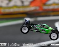 fri_wingless
