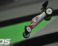 sat_cockersleg1_3