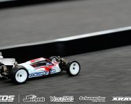 sat_cockerspan