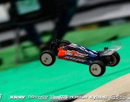 sun_bayer2