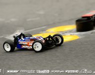 sun_bayer2